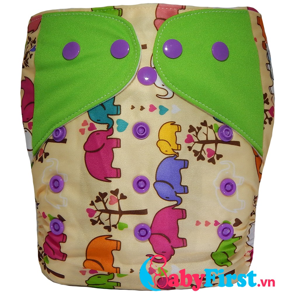 Tã vải đêm BabyFirst size L 12-24kg