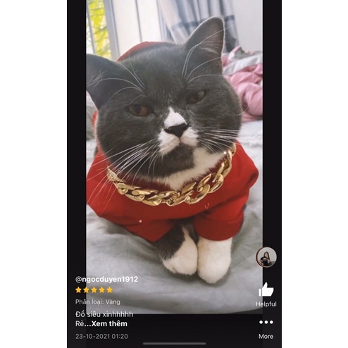 Vòng Cổ Thú Cưng, Vòng Cổ Rich Kid Cho Chó Mèo, V11