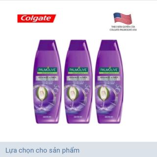 Combo 10 chai dầu gội palmolive 180ml