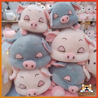 Gấu Bông Heo Lười Mắt Híp Size 70cm -