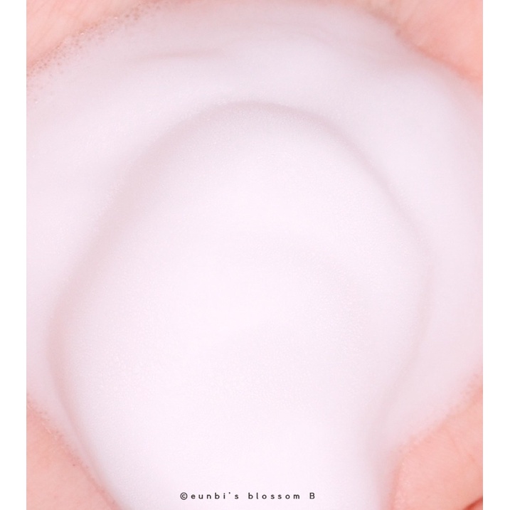 Sữa Rửa Mặt Tạo Bọt Fraijour Original Artemisia Bubble Foam