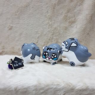 Heo đất handmade - Mèo Ami bụng bự
