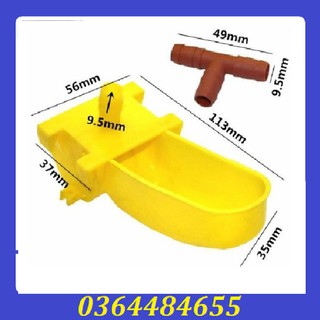 Combo 20 máng uống cho chim-máng uống tự động-phụ kiện ăn uống cho chim cút giá rẻ