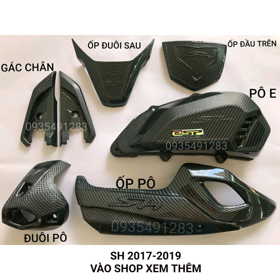 ỐP CẢN SAU SH CARBON 2012-2019