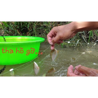 Lưới giăng cá sặc 10m 45k
