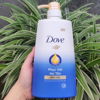 Dầu Gội Dove Phục Hồi Hư Tổn 640g