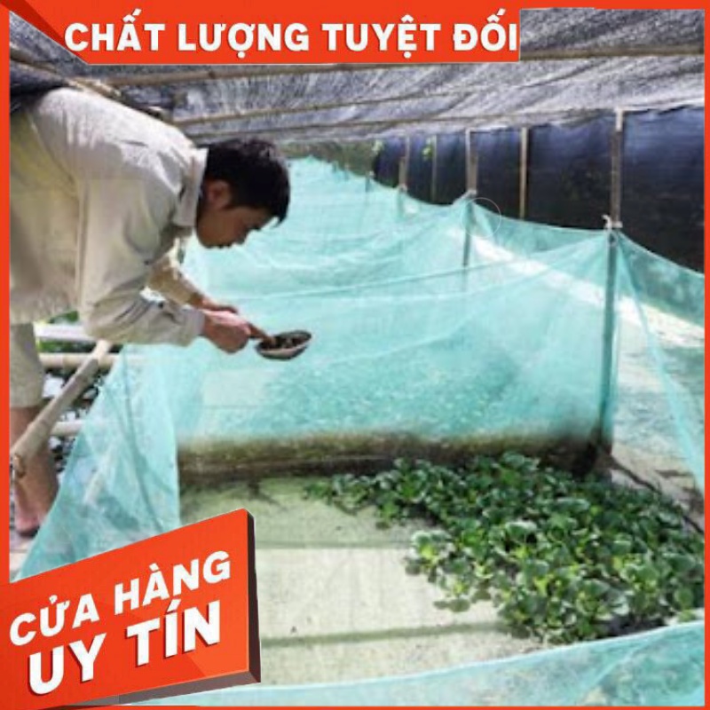 Tráng Ươm Nuôi Thủy Sản, Loại Dài 2m x Rộng 1m x Cao 1m