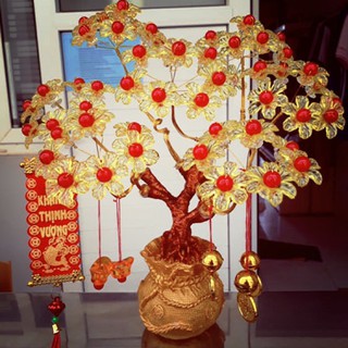 Cây kim tiền mô hình