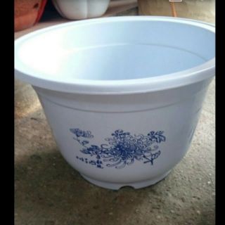 15 cái chậu giả sứ trắng rộng 24cm cao 16cm