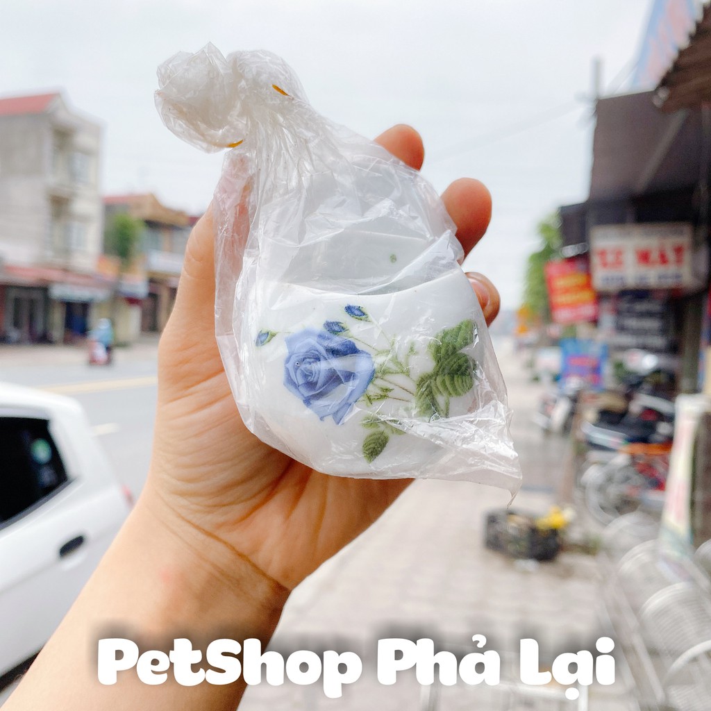 Cóng Ăn Chim chào mào