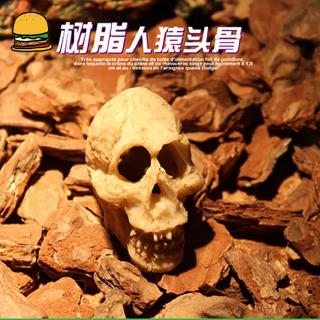 Simulate Resin Skull Landscape Ornament for Reptile Cave Aquarium Terrarium Decoration