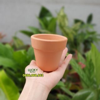 CHẬU ĐẤT NUNG GIÁ RẺ TRỒNG SEN ĐÁ - XƯƠNG RỒNG