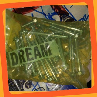 Full bộ ốc lốc máy dream