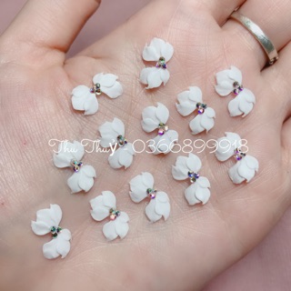 Hoa bột làm Nail - kèm clip quay sản phẩm