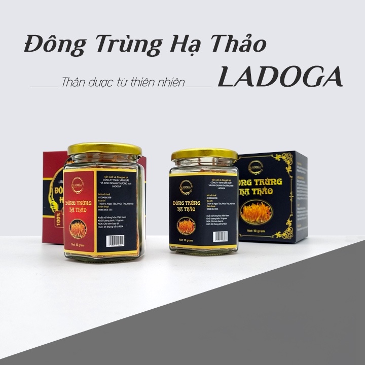 Nấm Đông Trùng Hạ Thảo LADOGA sấy thăng hoa đóng hộp 10g