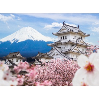 Tranh ghép hình 1000 mảnh 2cm khổ 54×74 – Tranh xếp hình Puzzle cao cấp hoa anh đào và lâu đài Himeji – cherry blossom