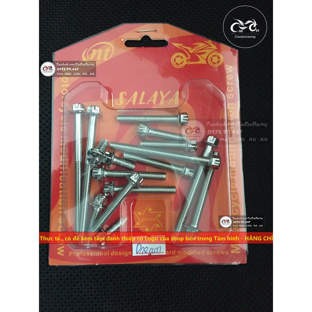 Bộ ốc lốc máy salaya EX150 EX135 WINNER SI DREAM