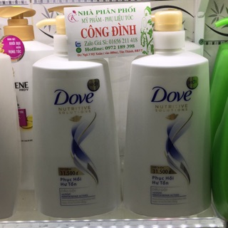 Dầu gội Dove phục hồi hư tổn