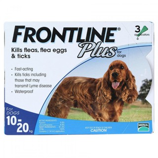1 TUÝP FRONTLINE PLUS Dog (10-20kg)- Phòng và trị ve, ghẻ, bọ chét dạng nhỏ gáy cho chó