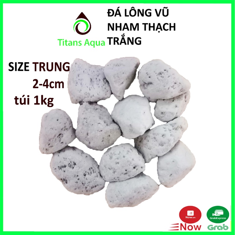 1Kg ĐÁ NHAM THẠCH TRẮNG - ĐÁ LÔNG VŨ - ĐÁ LỌC NƯỚC BỂ CÁ size 2-4cm