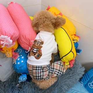 Bộ quần áo cho chó mèo hình gấu BUBERY