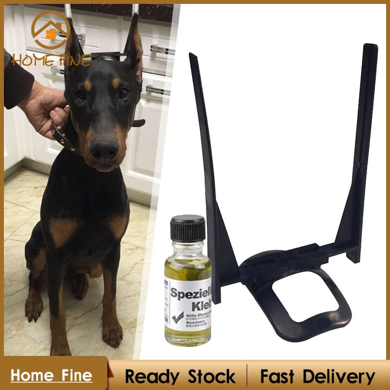 Giá Đỡ Tai Chó Chihuahua Chuyên Dụng Chất Lượng