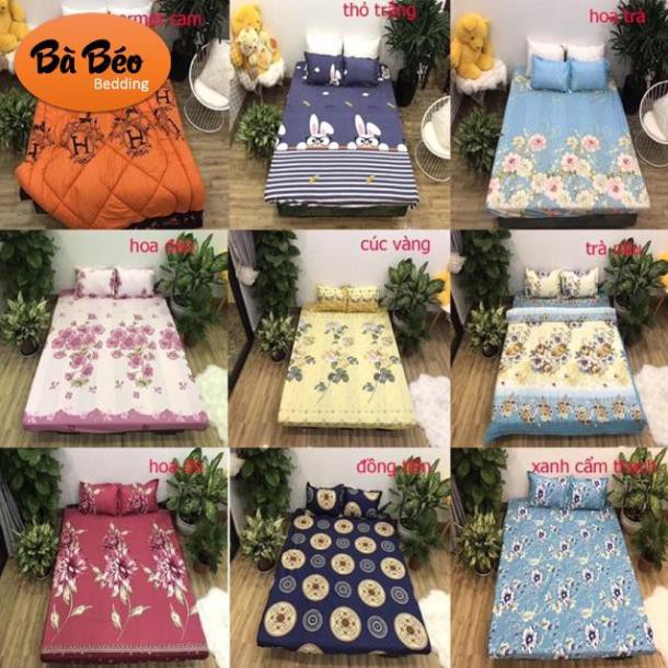 Bộ Ga Chun Kèm Vỏ Gối Cotton Poly kt m6x2m; m8x2m; 2mx2m2 (Ảnh thật, được chọn mẫu)