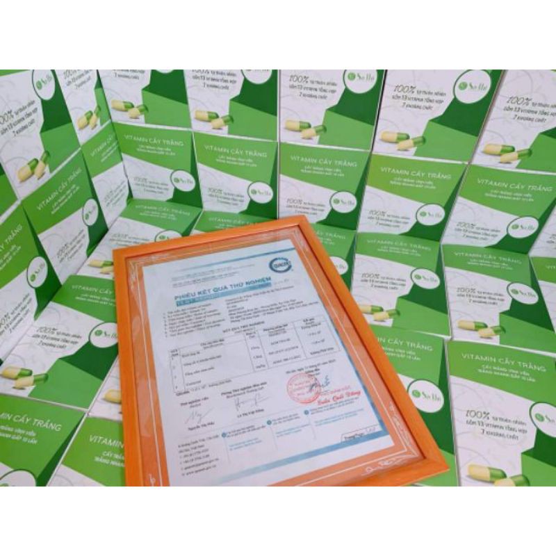 [Combo 10viên] Vitamin CẤY TRẮNG DA SA THỊ- Viên Cấy Trắng Sa Thị | Thế Giới Skin Care