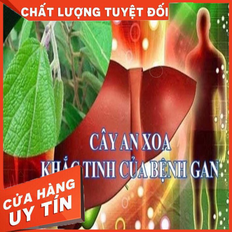 [Hàng Cao Cấp] Cây An Xoa 1kg Chữa Bệnh Gan - Dược Liệu Quý Món Quà Thiên Nhiên