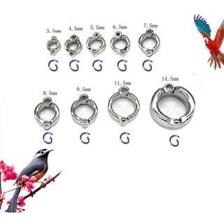 4-15mm Vòng đeo chân chim, Nhẫn đeo cho chân vẹt chắc chắn tiện dụng và thích hợp các loại chim vẹt