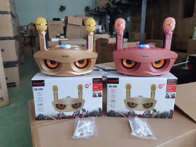 Loa karaoke Sd-306 Kèm 2 mic