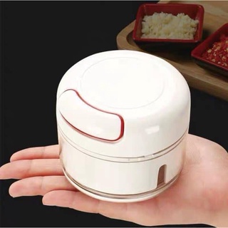 Máy xay tỏi ớt - cối xay tỏi ớt