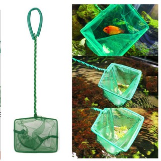 Vợt cá cảnh