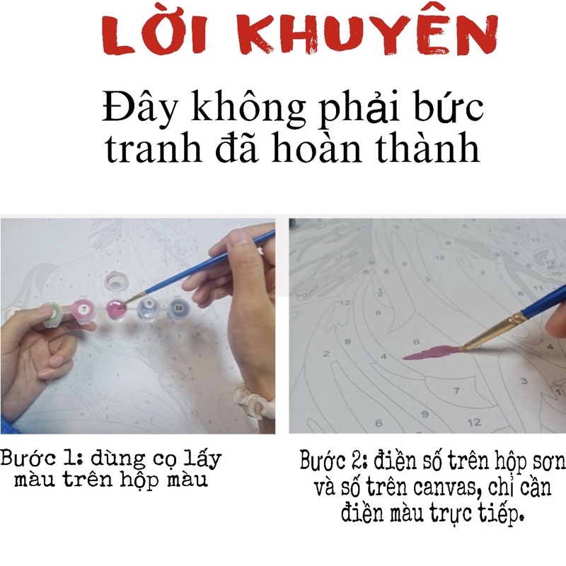 Tranh tự tô màu theo số - tranh sơn dầu số  hóa  Paint tranh hoa[TỔNG HỢP TRANH HOT 2021] đã căng khung