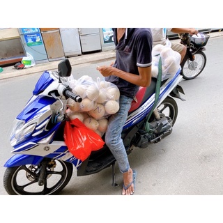 Combo 5 Rau câu trái dừa gọt trọc
