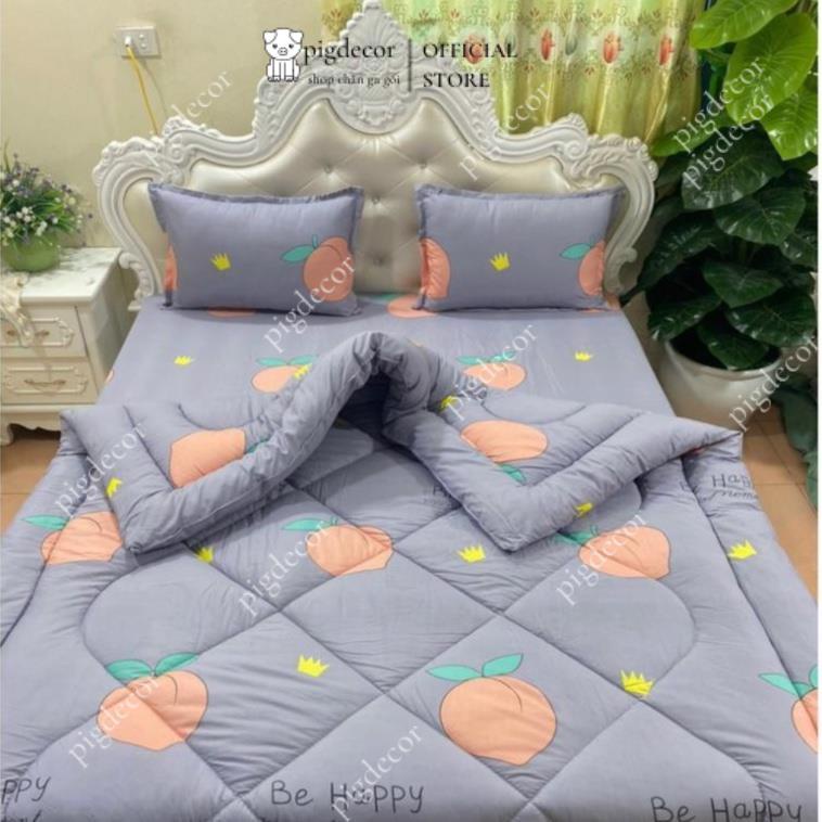 Bộ chăn phao ga gối cotton poly 1m6,1m8,drap giường đẹp