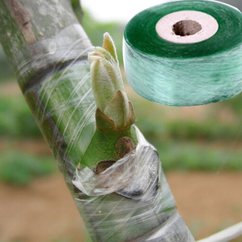 Cuộn Băng Dính 2cm * 100m Hỗ Trợ Ghép Cây