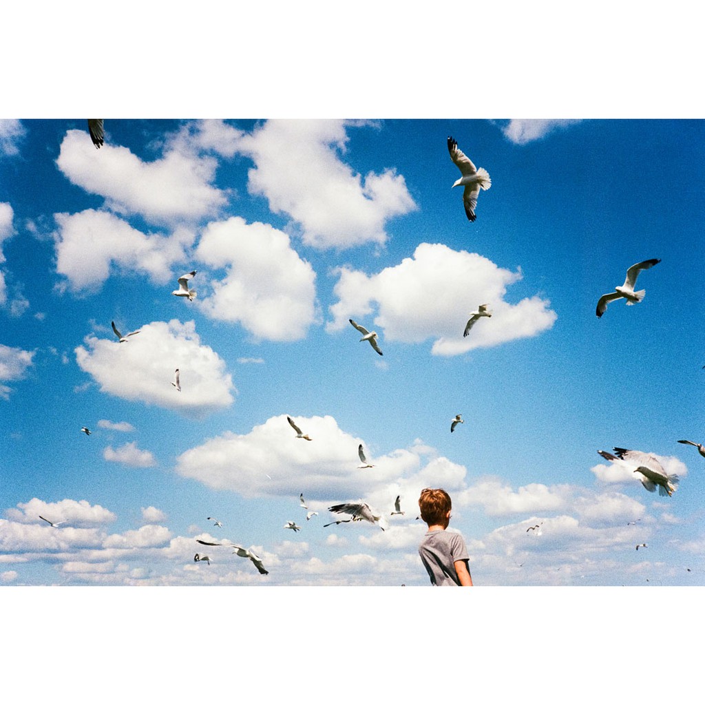 Film Kodak Ultramax 400 indate - GippyFilm - Tiệm tạp hóa Gippy