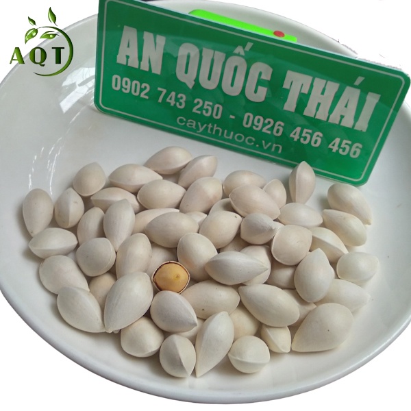 Bạch Quả Tươi [LOẠI 1] 1KG Nguyên Vỏ To, Chắc, Hạt Bạch Quả Nấu Chè, Rang Muối, Hầm Gà Siêu Ngon