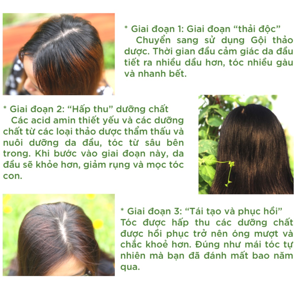 Dầu xả thiên nhiên - 100% Organic từ thảo dược, thảo mộc tự nhiên cô đặc Handmade dưỡng ngăn ngừa rụng tóc OGANICO 18
