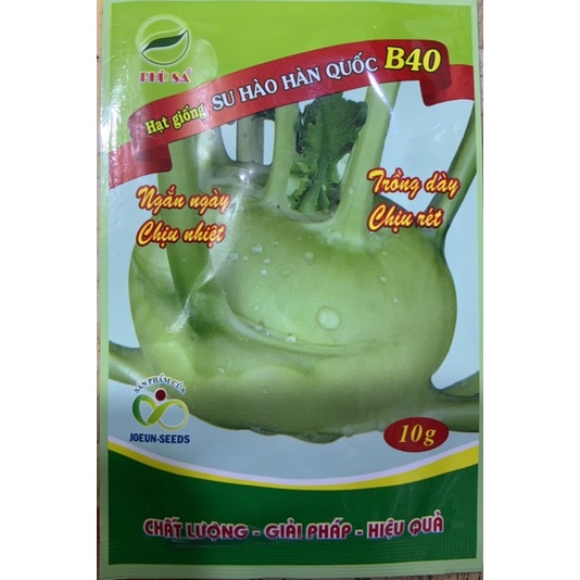 HẠT GIỐNG SU HÀO F1 B40 HÀN QUỐC