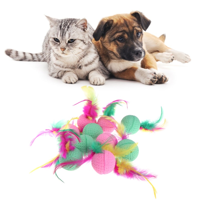 Set 10 Lông Vũ Đồ Chơi Cho Mèo