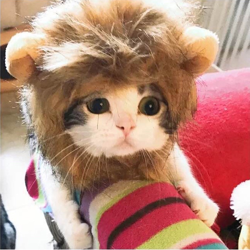 Mũ cho Chó Mèo cosplay sư tử - Nón hoá trang cho thú cưng siêu ngầu