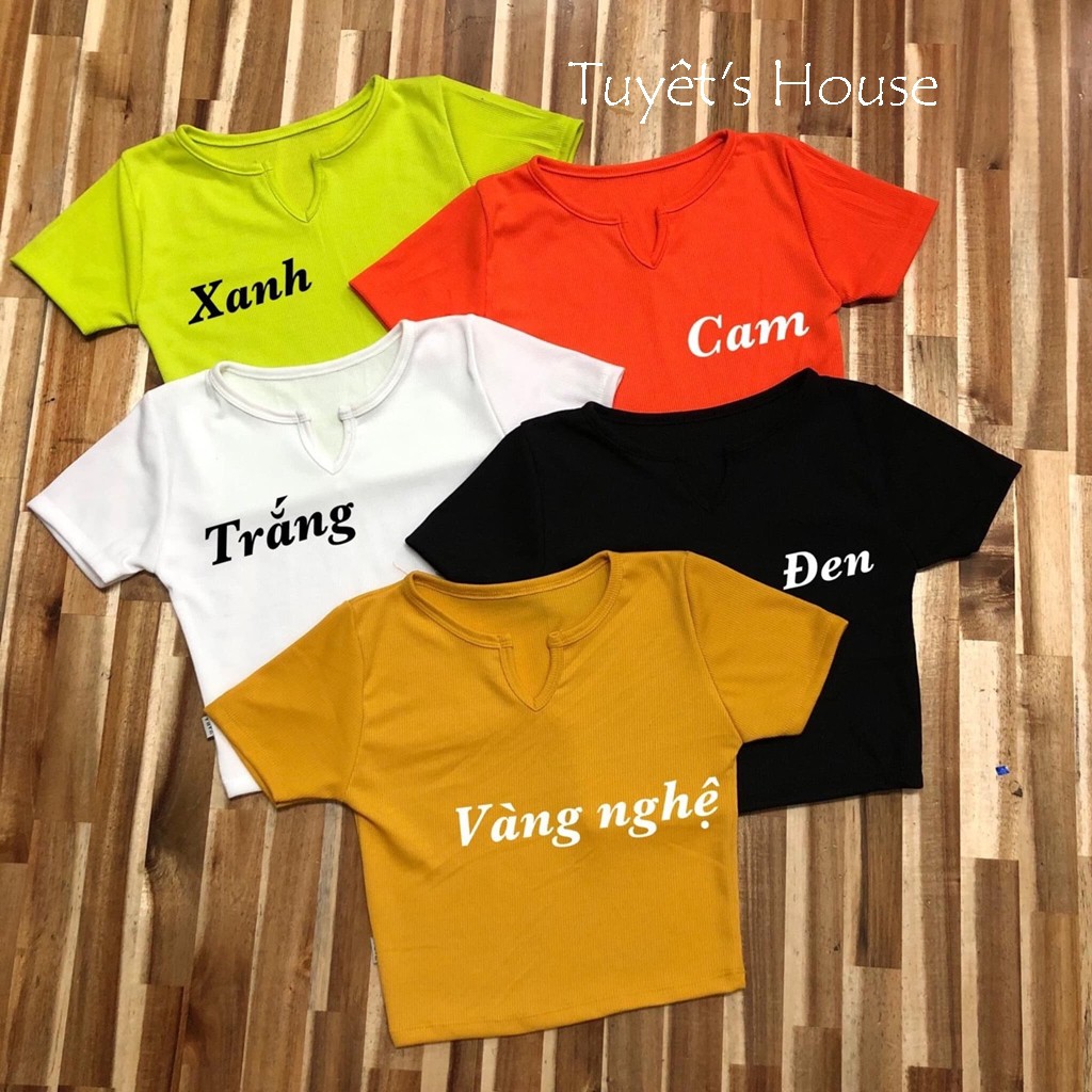 ÁO CROPTOP GÂN ÔM BODY KHOÉT CỔ V L15-1, Áo crt kiểu cổ u khoét chữ v