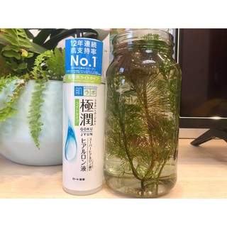 Nước hoa hồng Hada labo Gokujyun 170ml