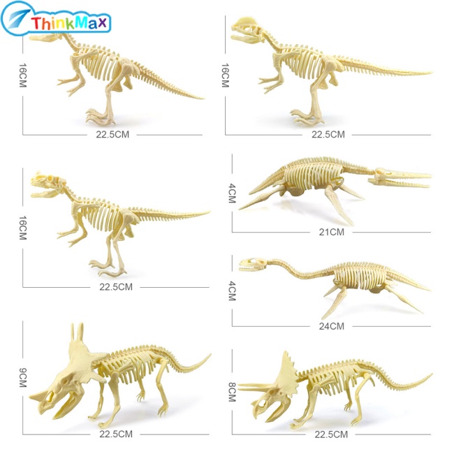 Mô hình xương khủng long THINKMAX 3d tự lắp ráp cho bé