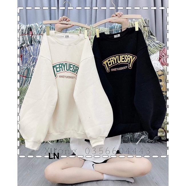 Áo nỉ bo cotton TERY LN12