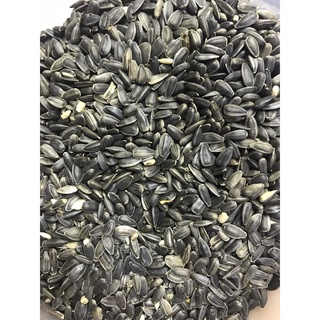 Hạt hướng dương cho Hamster (100gr)