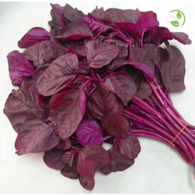 Hạt Giống Rau Dền Đỏ Phú Nông - Gói 20g - Amaranth Red Leaves