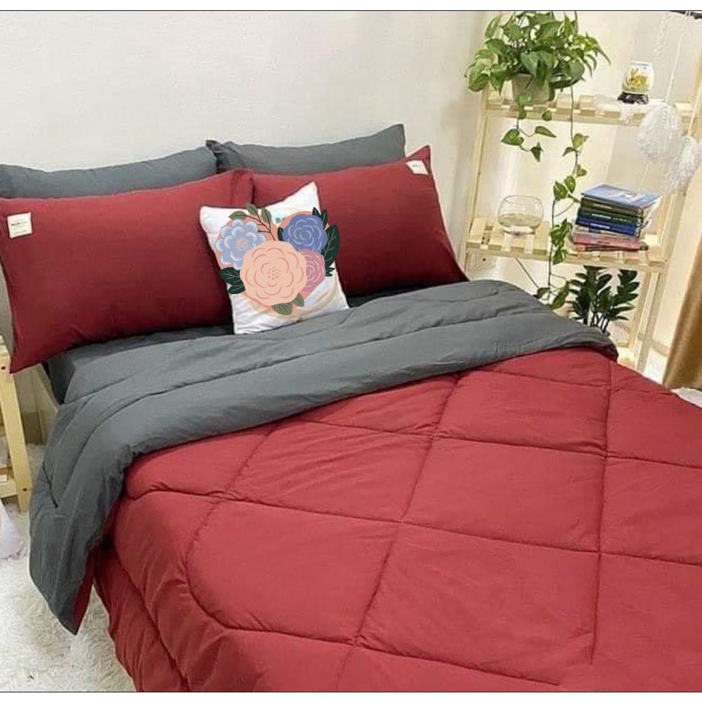 Bộ chăn phao trần bông dày êm và ga gối cotton tici phối màu trơn cao cấp